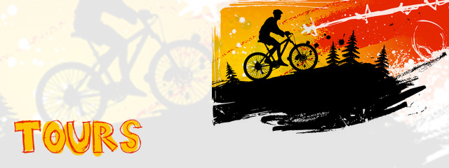 Babelfish Walking Tours